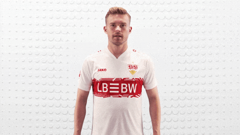Vfb Stuttgart Football GIF by Bundesliga