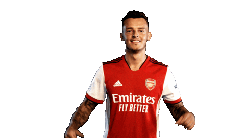 Celebrate Premier League Sticker by Arsenal