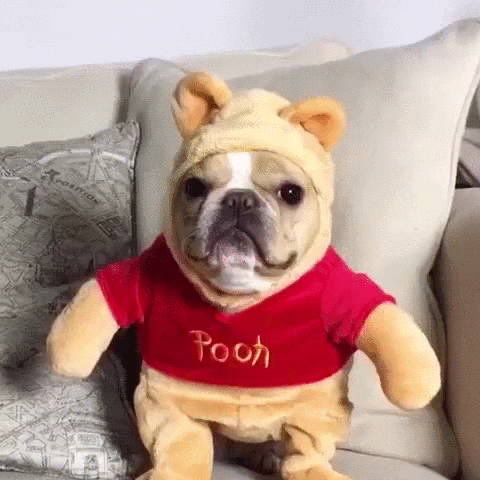 pooh GIF