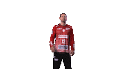 Silvio Heinevetter Sport Sticker by TVB Stuttgart
