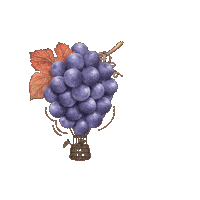 Red Wine Sticker by Oliver Winery