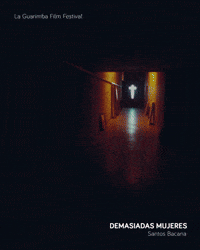 DEMASIADAS MUJERES