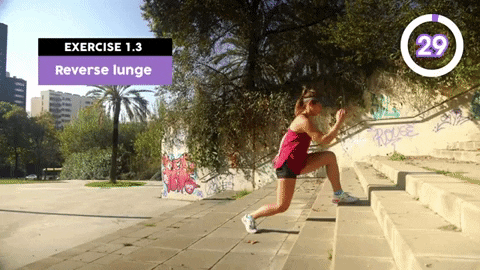 Tennis Coach Fitness GIF by fitintennis