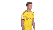 Proud Line Up Sticker by Bundesliga