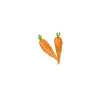 lisachiuqq food illustration carrot vegetable Sticker