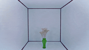 mergerecords dogs puppy plants doggo GIF