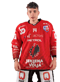 Hockey Hokej Sticker by HDD SIJ Acroni Jesenice