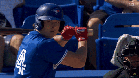 Home Run Win GIF by Toronto Blue Jays