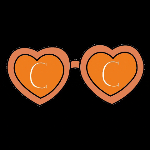 CasitaFurniture giphygifmaker sunglasses casita orange sunglasses GIF