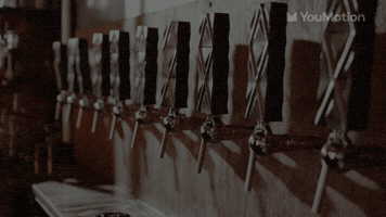 Beer Party
