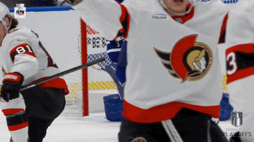 Happy Stanley Cup Playoffs GIF by NHL