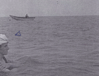 Openbeelden GIF by Beeld en Geluid