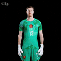 Fifa World Cup Uefa GIF by Respective