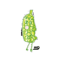 Seedfarmersmarket Sticker by SEEDORGHK
