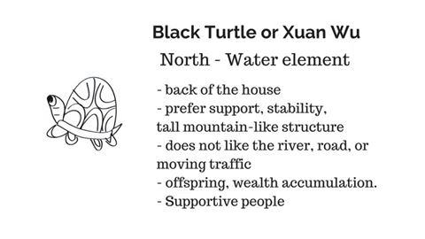 black tortoise GIF