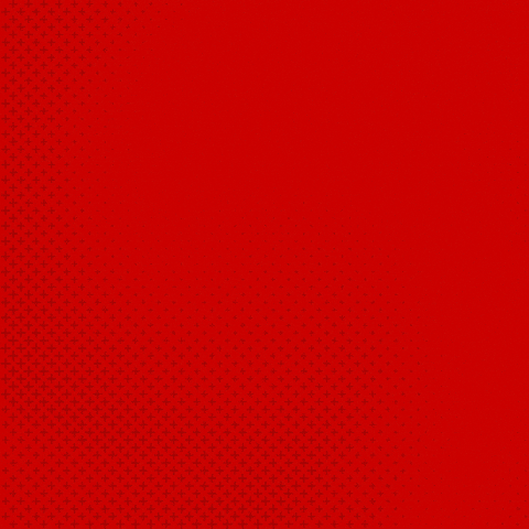 Bayer 04 Bundesliga GIF by Bayer 04 Leverkusen