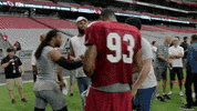 Phoenix Suns Football GIF by Arizona Cardinals