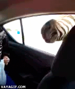Food Kid GIF