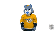 Ice Hockey Yes GIF by NHL
