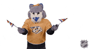 Ice Hockey GIF by NHL