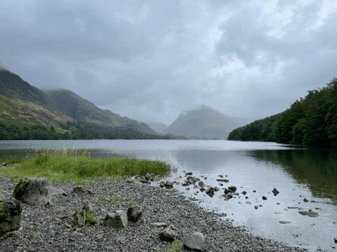 tobywagstaff giphygifmaker giphyattribution GIF