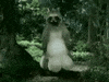 karma comment GIF