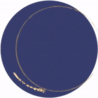 Gymnastics Celebrate GIF by LWGC