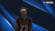 Cnfb GIF by Carson-Newman Athletics
