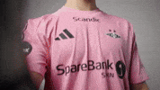 Football Soccer GIF by RBK