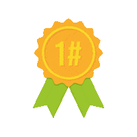 WorldSkillsNL gold first skills nl Sticker