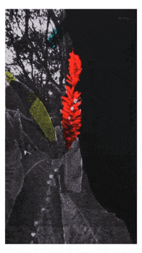 art motion GIF by Daniel Barreto