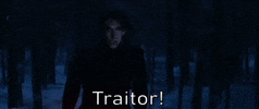 the force awakens traitor GIF by Star Wars