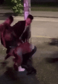 Fight Fighting GIF