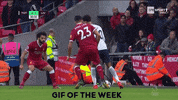 tottenham GIF by nss sports