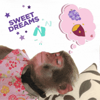 Good Night Monkey GIF