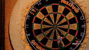 celebrate premier league darts GIF by BBC America