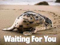 Love You Waiting GIF by Sealed With A GIF
