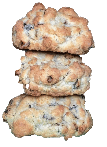 Cookie Oatmeal Sticker by Levain Bakery