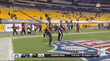 Pittsburgh Steelers Football GIF by NFL
