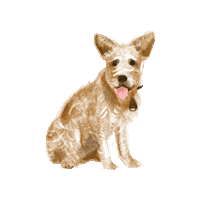 ProtectOne dog ecopet protectone tickless Sticker