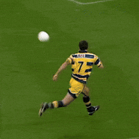 Goal Tiro GIF by Parma Calcio 1913
