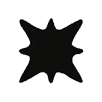 2D Animation Rotate Sticker by Direct Message Studio