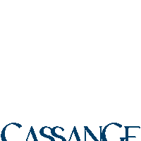 Cassange Sticker by Iorane