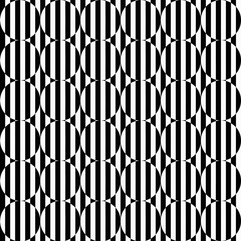 Black And White Motion GIF