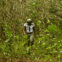 GIF by GoArmyWestPoint