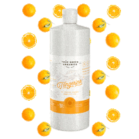 Sustainability Tangerine Sticker by True Green Organics