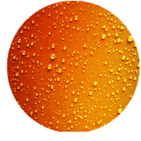 Sustainability Cleaning Sticker by True Green Organics