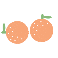 Mandarin Orange Oranges Sticker by thetinselrack