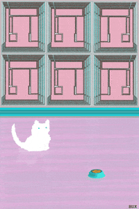 cat nom GIF