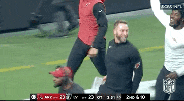 Arizona Cardinals Football GIF by NFL